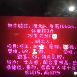 大奶牛妹妹-兰花雅阁