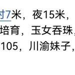 木兰少女心-兰花雅阁