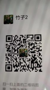 口活女王-兰花雅阁