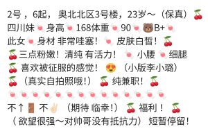 奥北北区3号楼-兰花雅阁